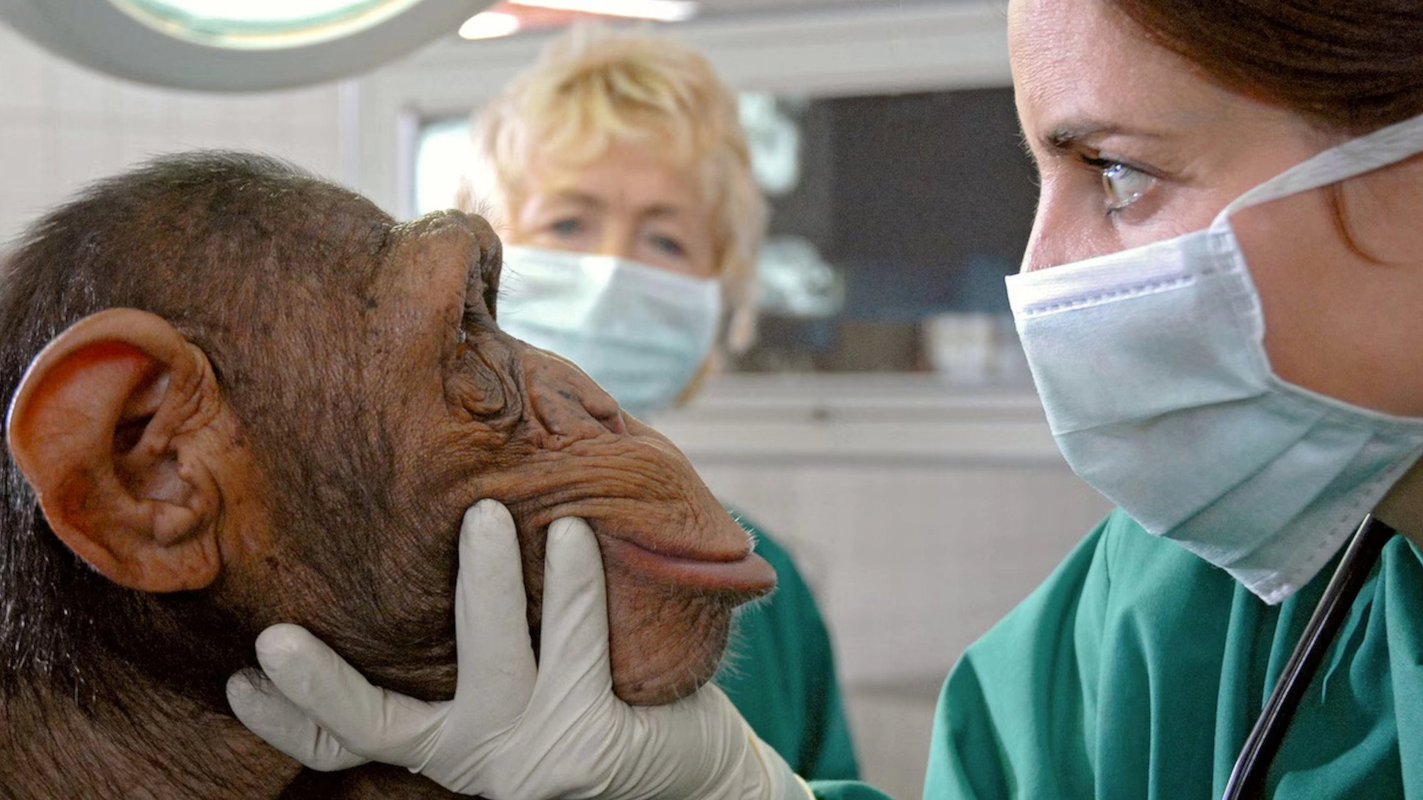 Tierärztin Dr. Mertens