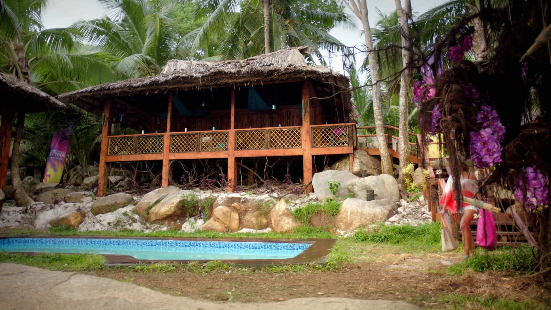 The Island