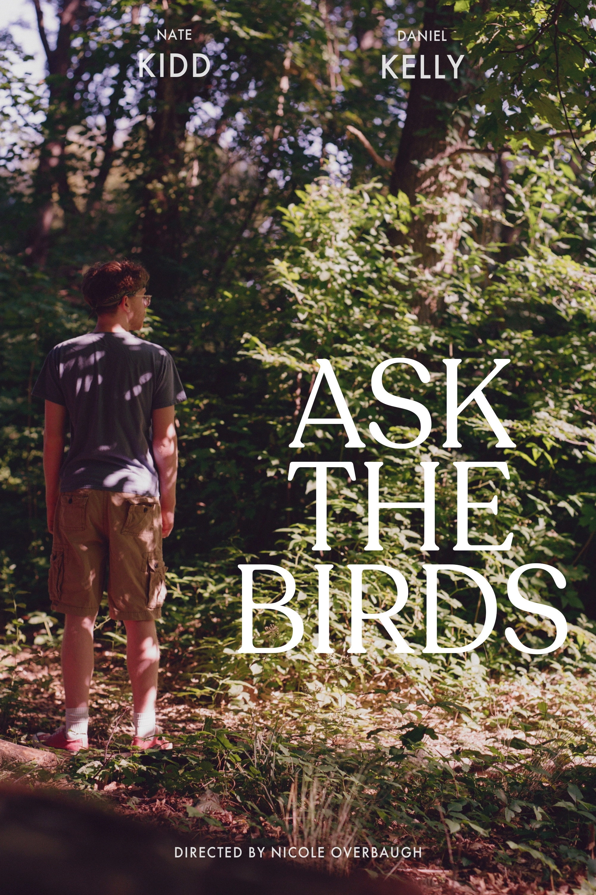 Ask The Birds