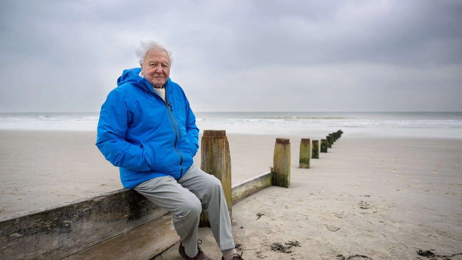 A Deeper Dive with David Attenborough
