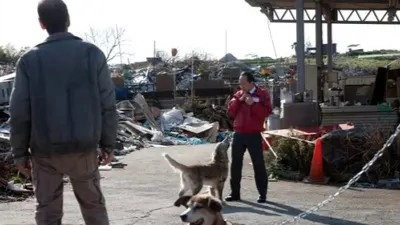 犬飼さんちの犬