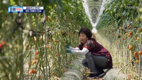 방방곡곡 낭만로드 유랑닥터
