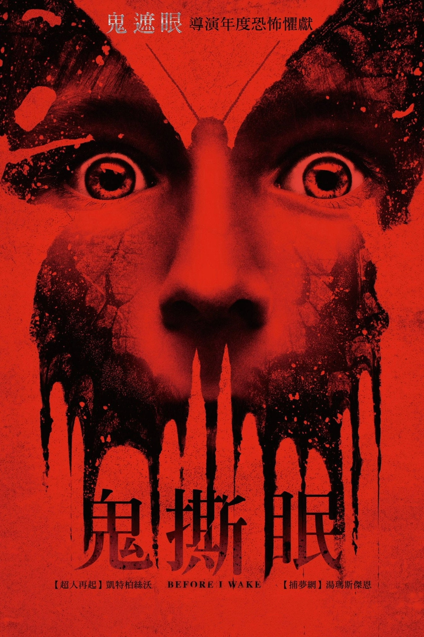 Before I Wake