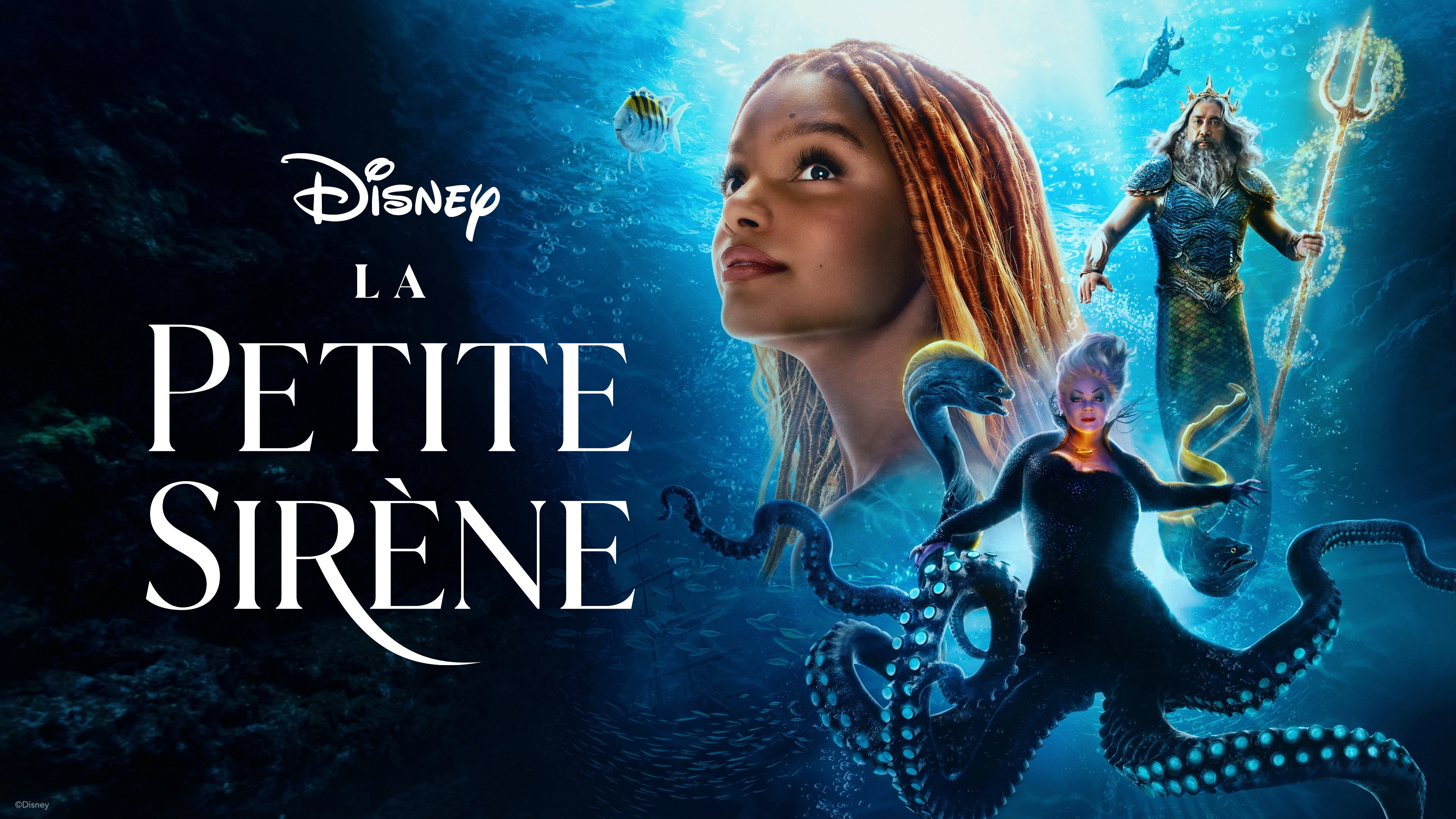 The Little Mermaid