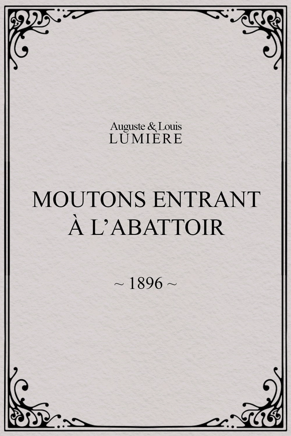 Moutons entrant à l'abattoir
