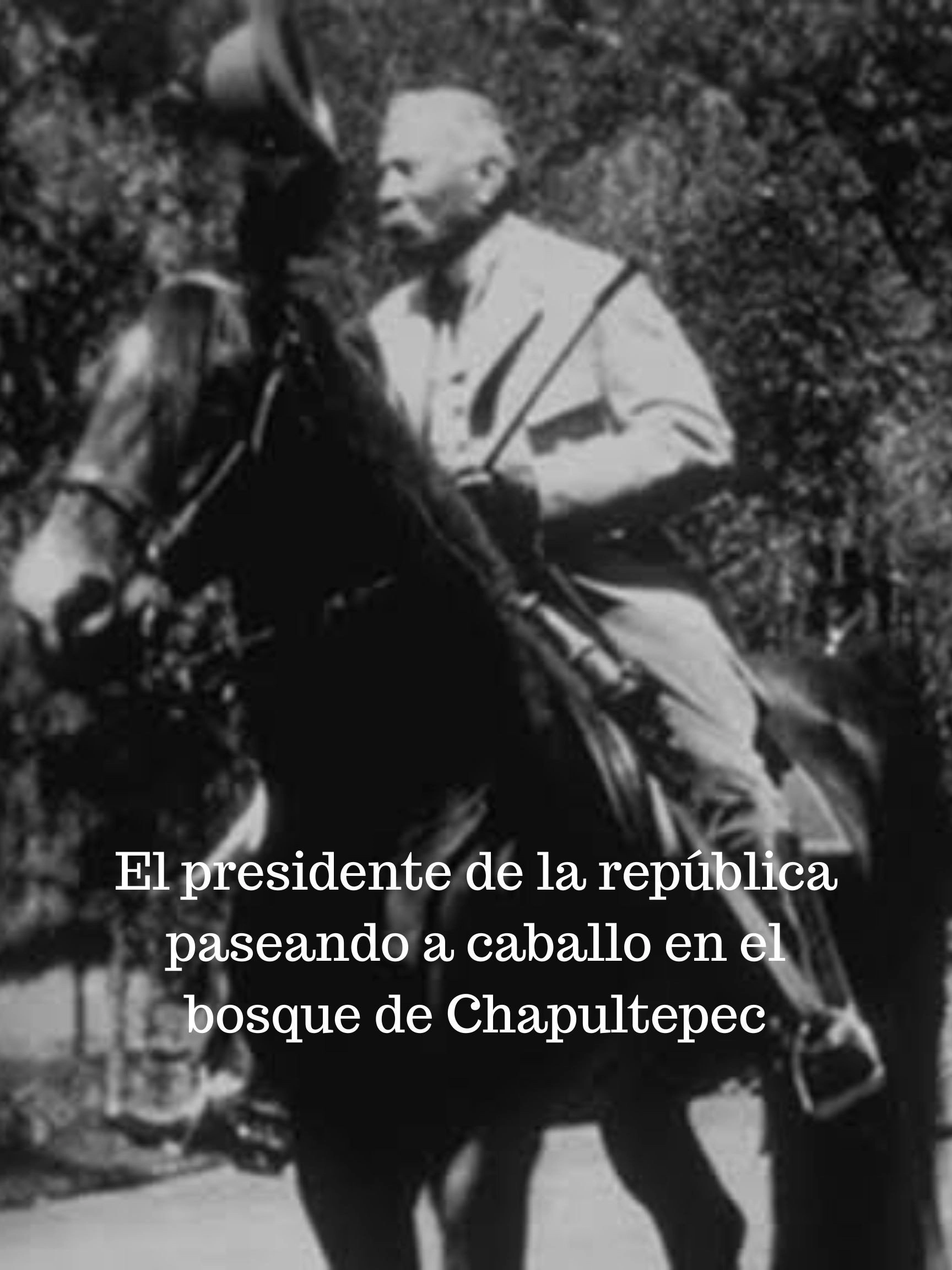 Le Président en Promenade