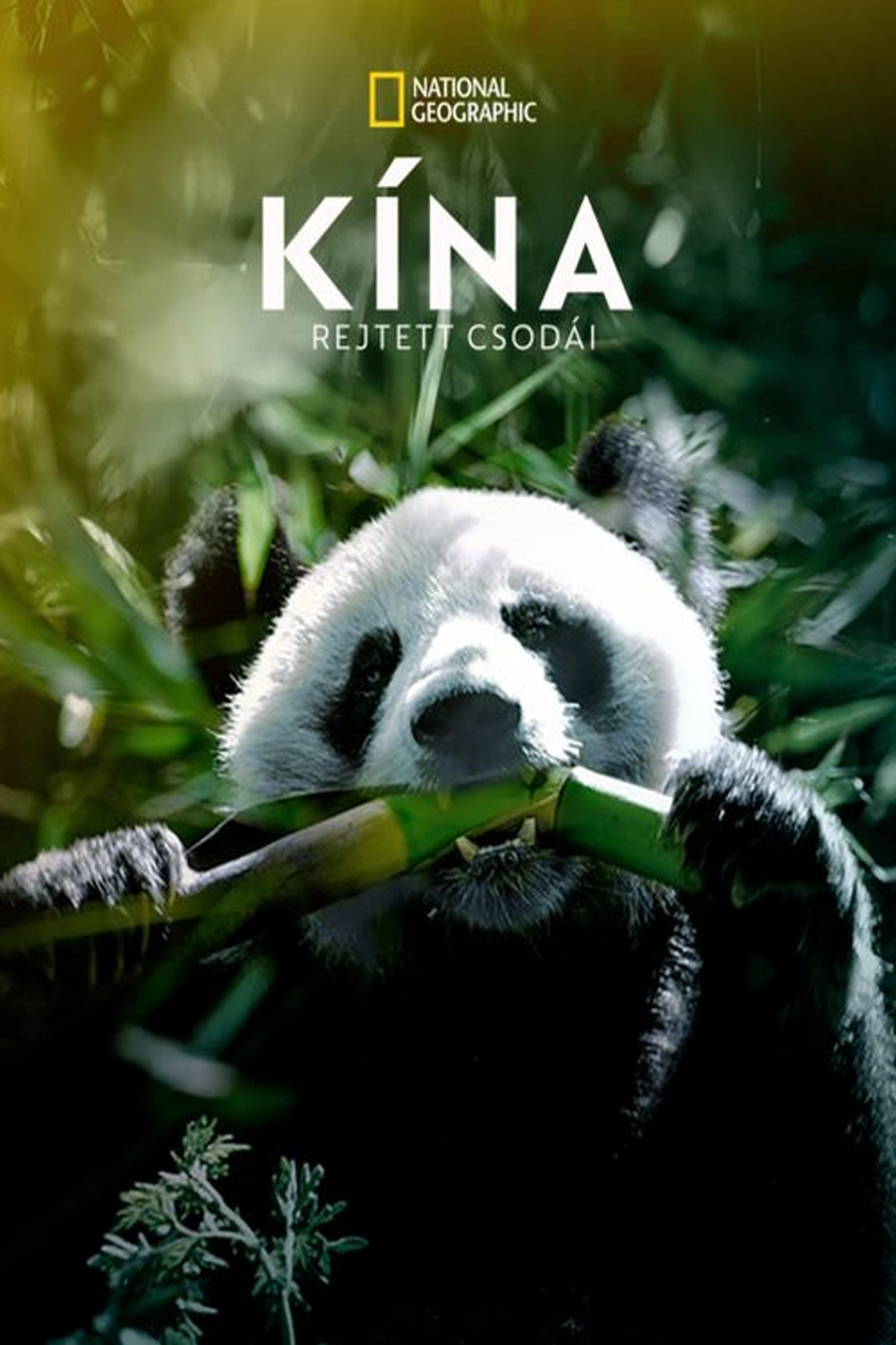 The Hidden Kingdoms of China