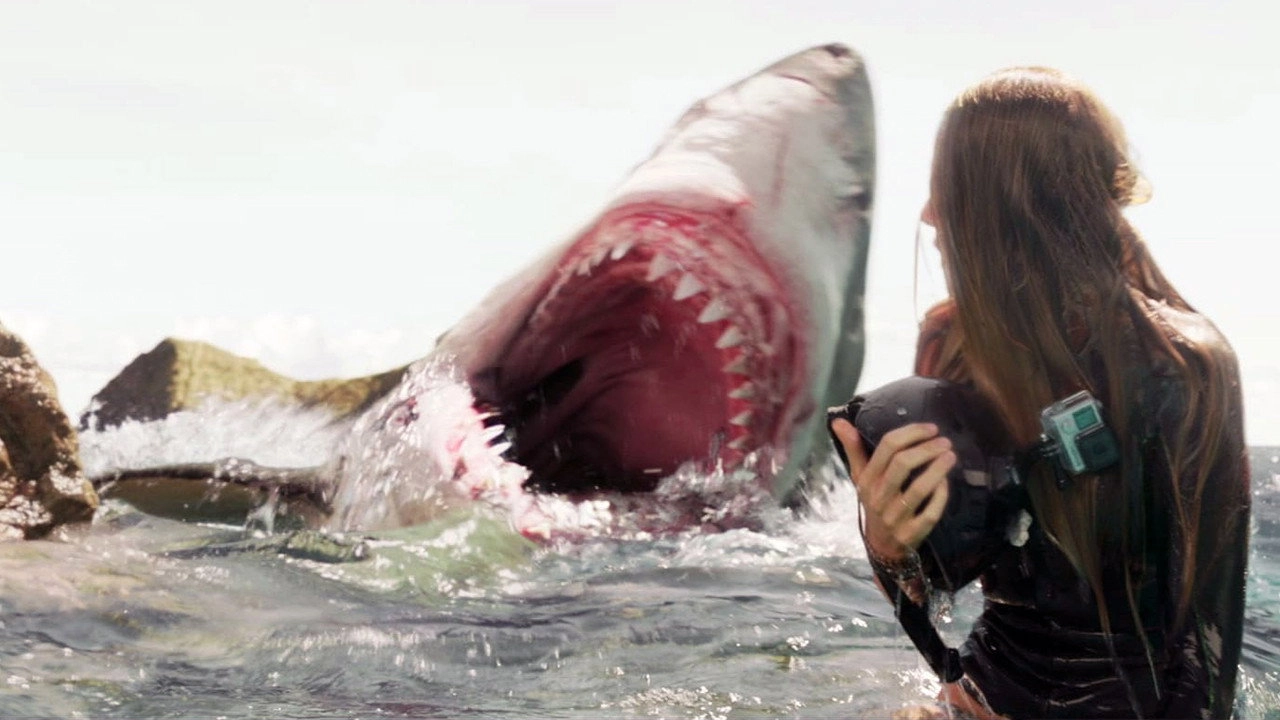 The Shallows