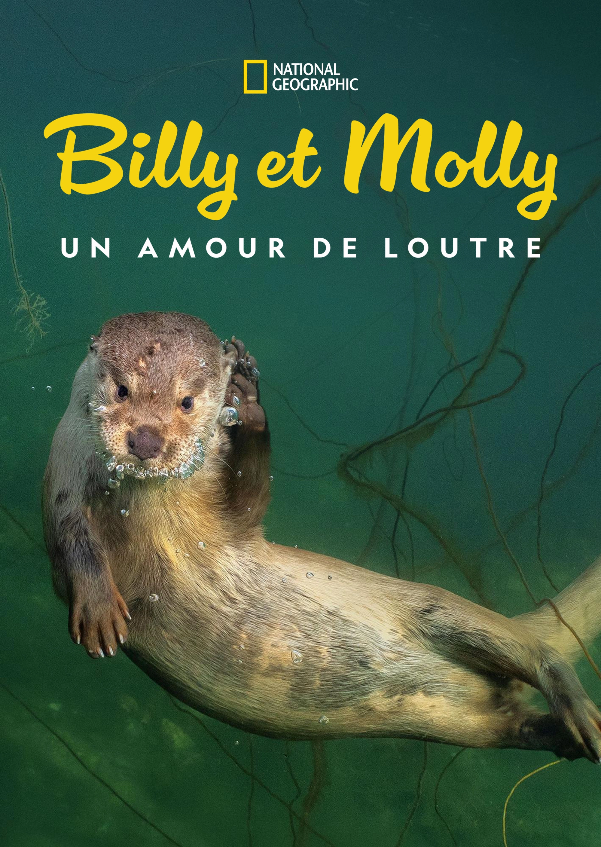 Billy & Molly: An Otter Love Story