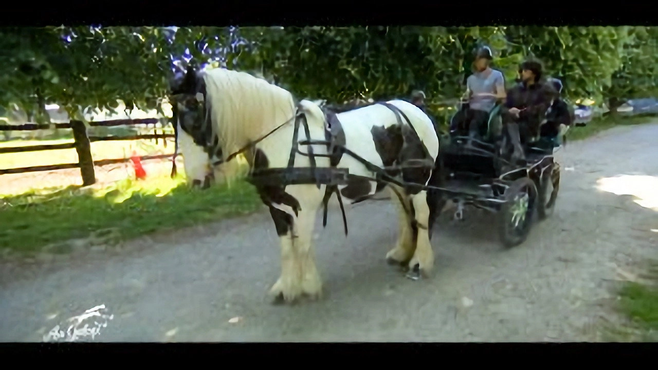 Au galop ! une saison à cheval