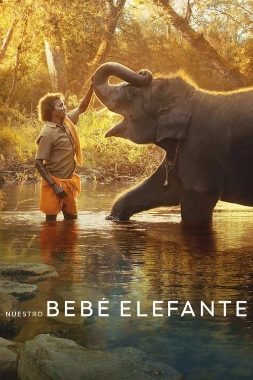 The Elephant Whisperers