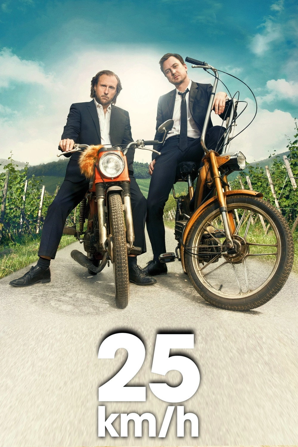 25 km/h