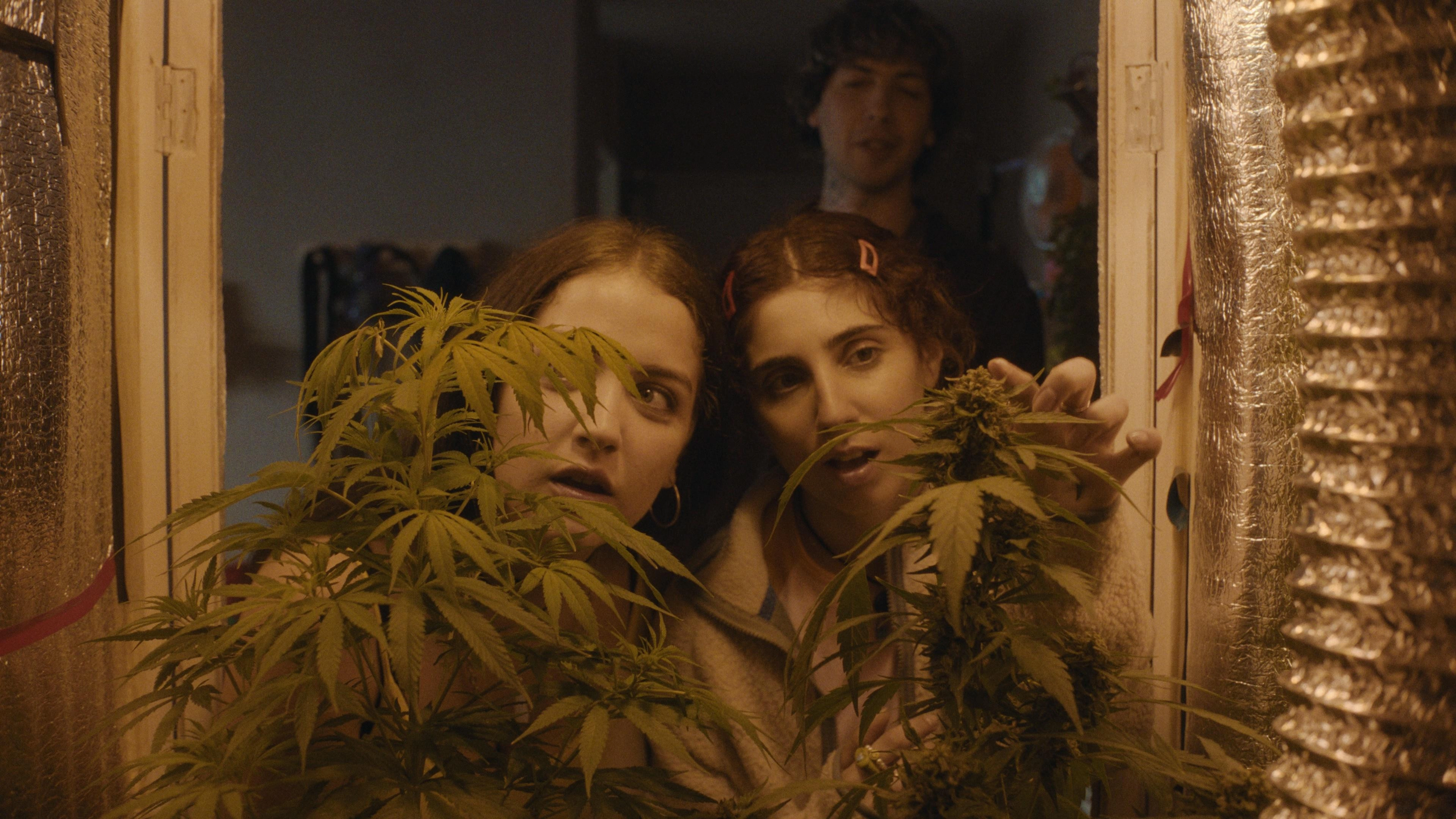 Verano Trippin