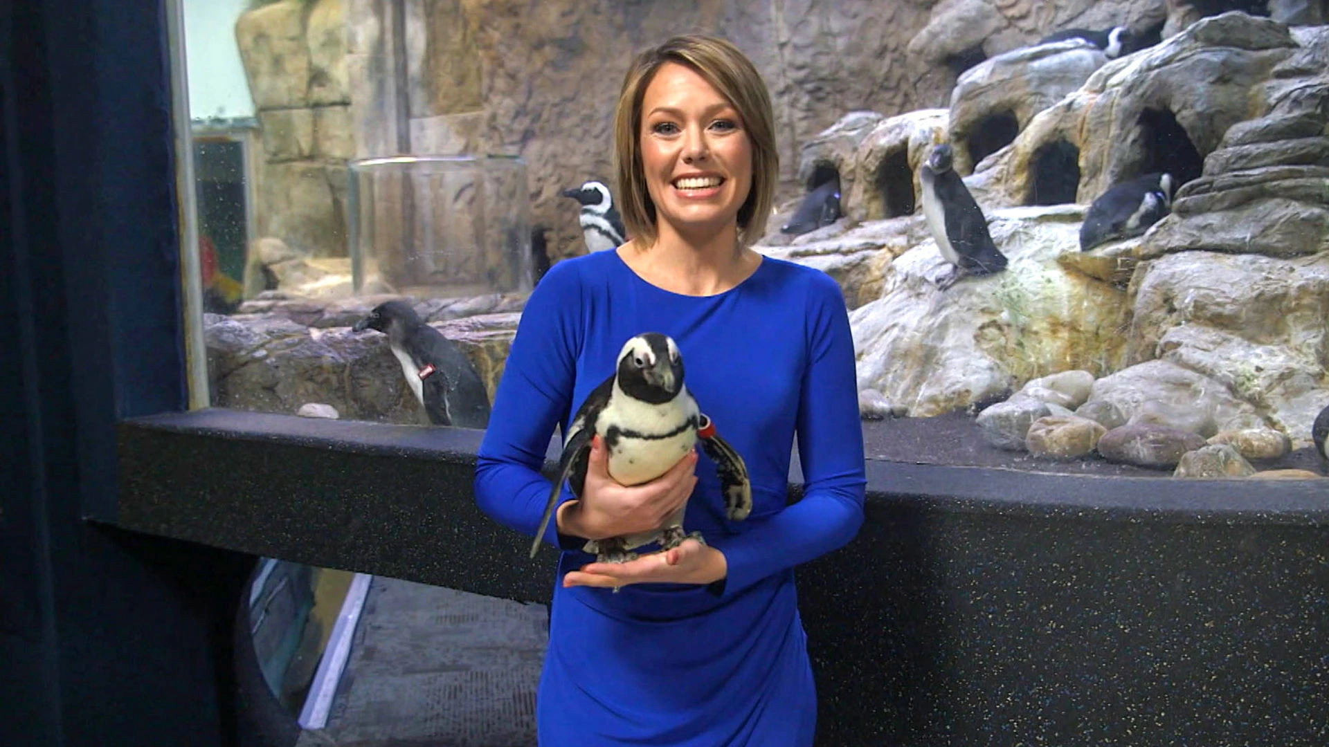 Earth Odyssey with Dylan Dreyer