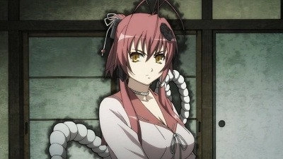 Samurai Girls