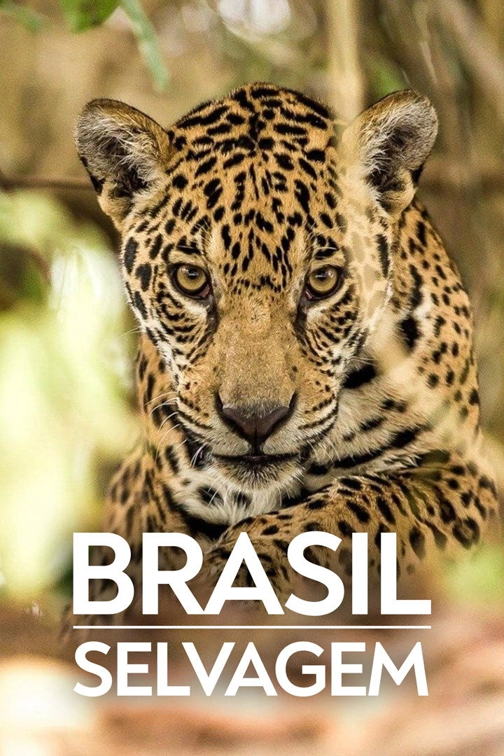 Brazil Untamed