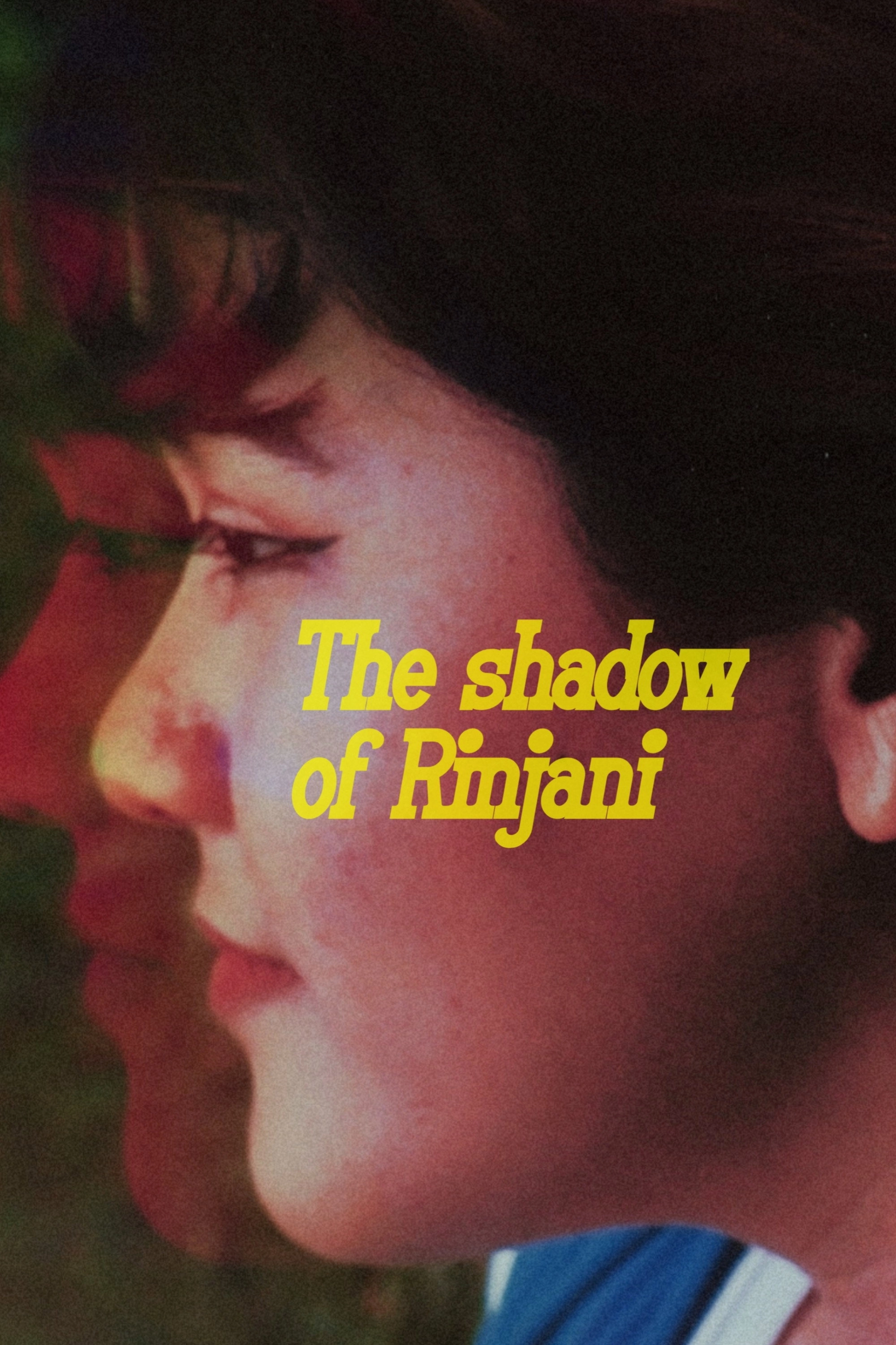 The Shadow of Rinjani