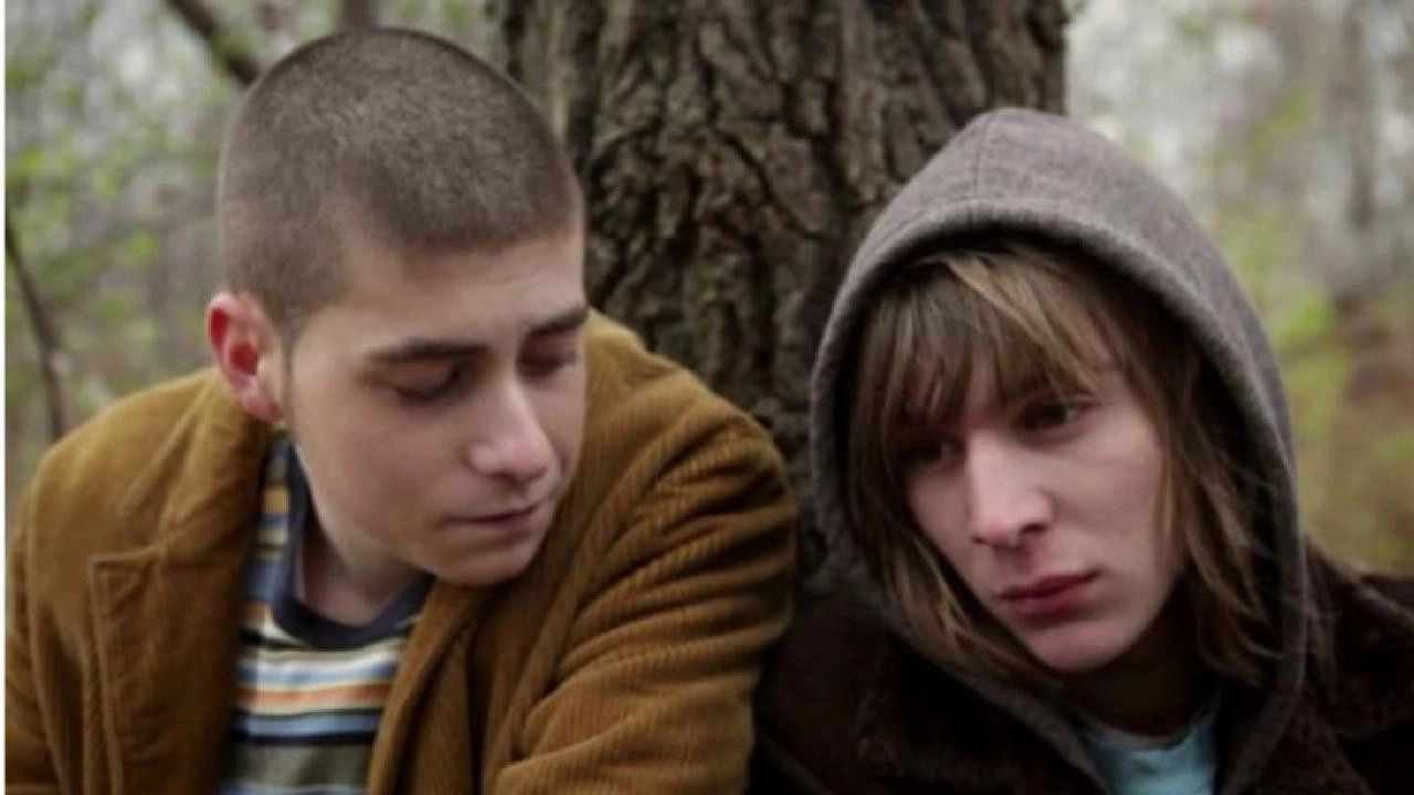 Skins