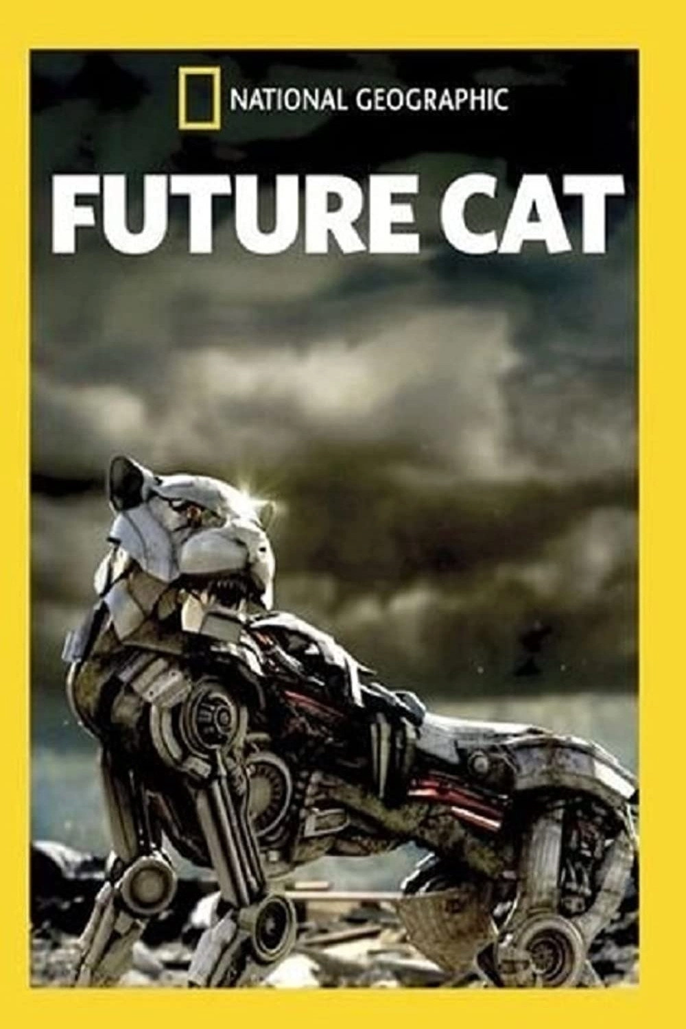 Future Cat
