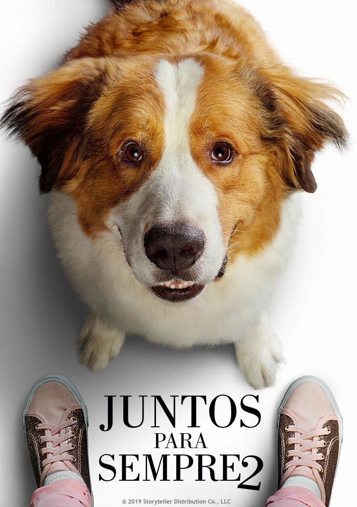 A Dog's Journey