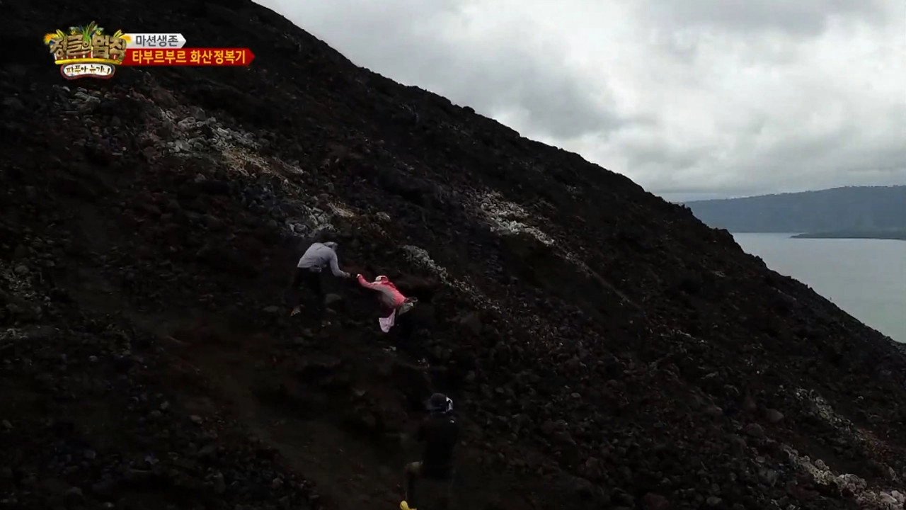 Law of the Jungle