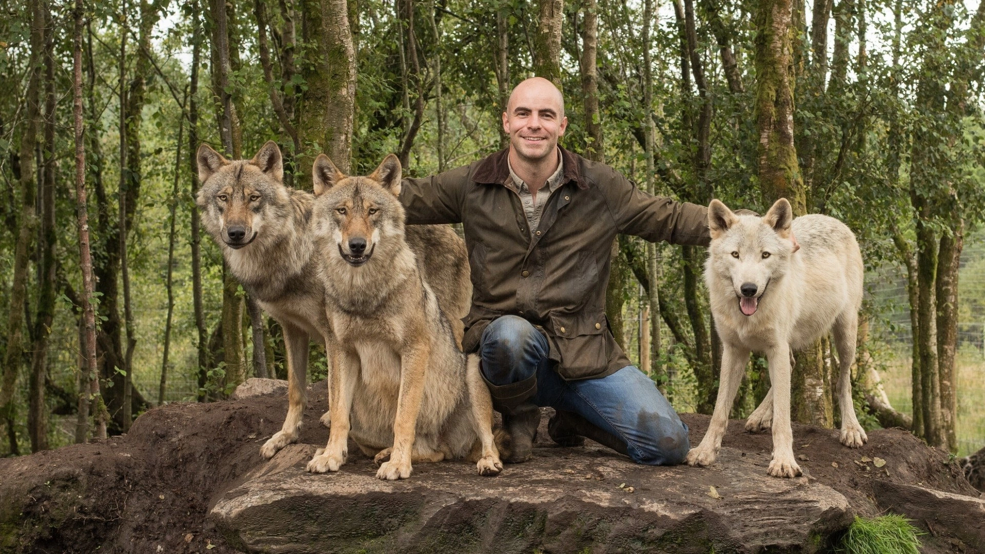 Return of the Wild: The Bearman of Buncrana