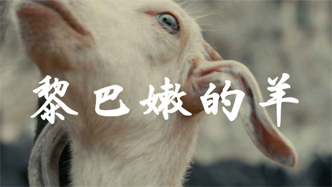 中东大宝荐