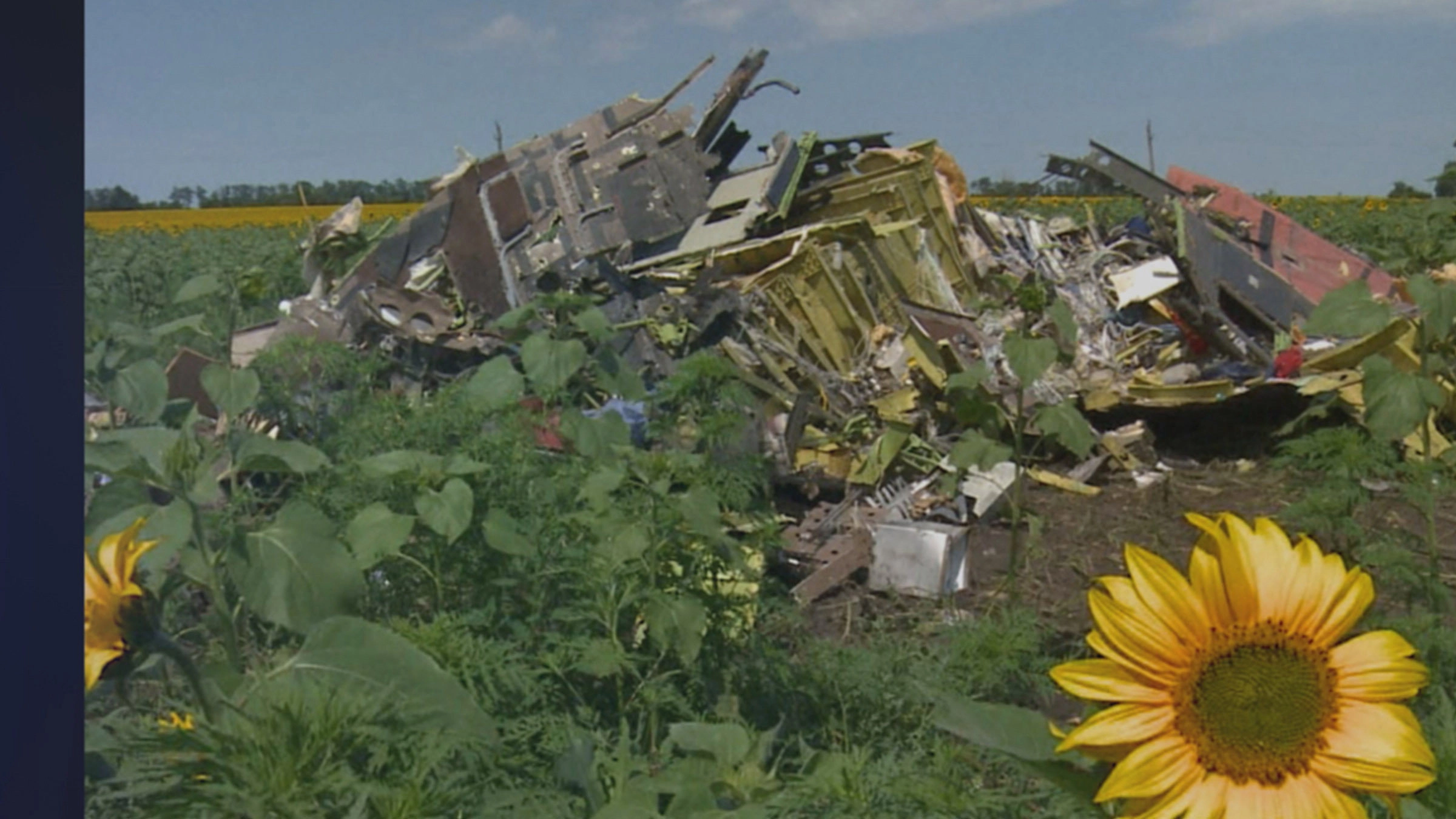 Murder in the Skies: Who Downed Mh17?
