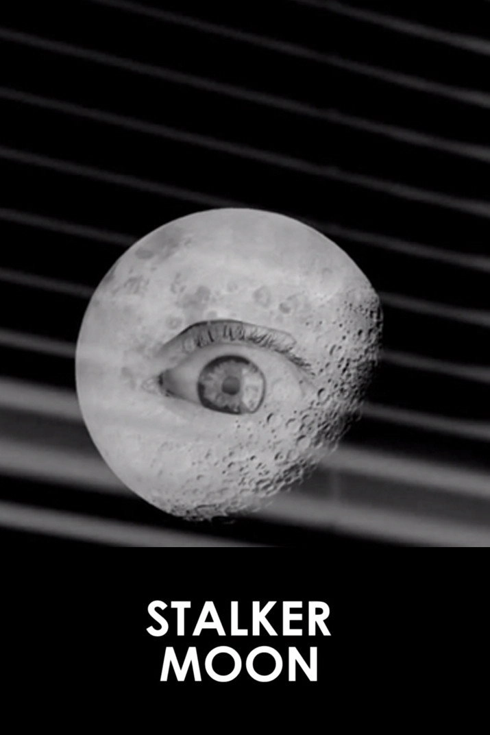 Stalker Moon