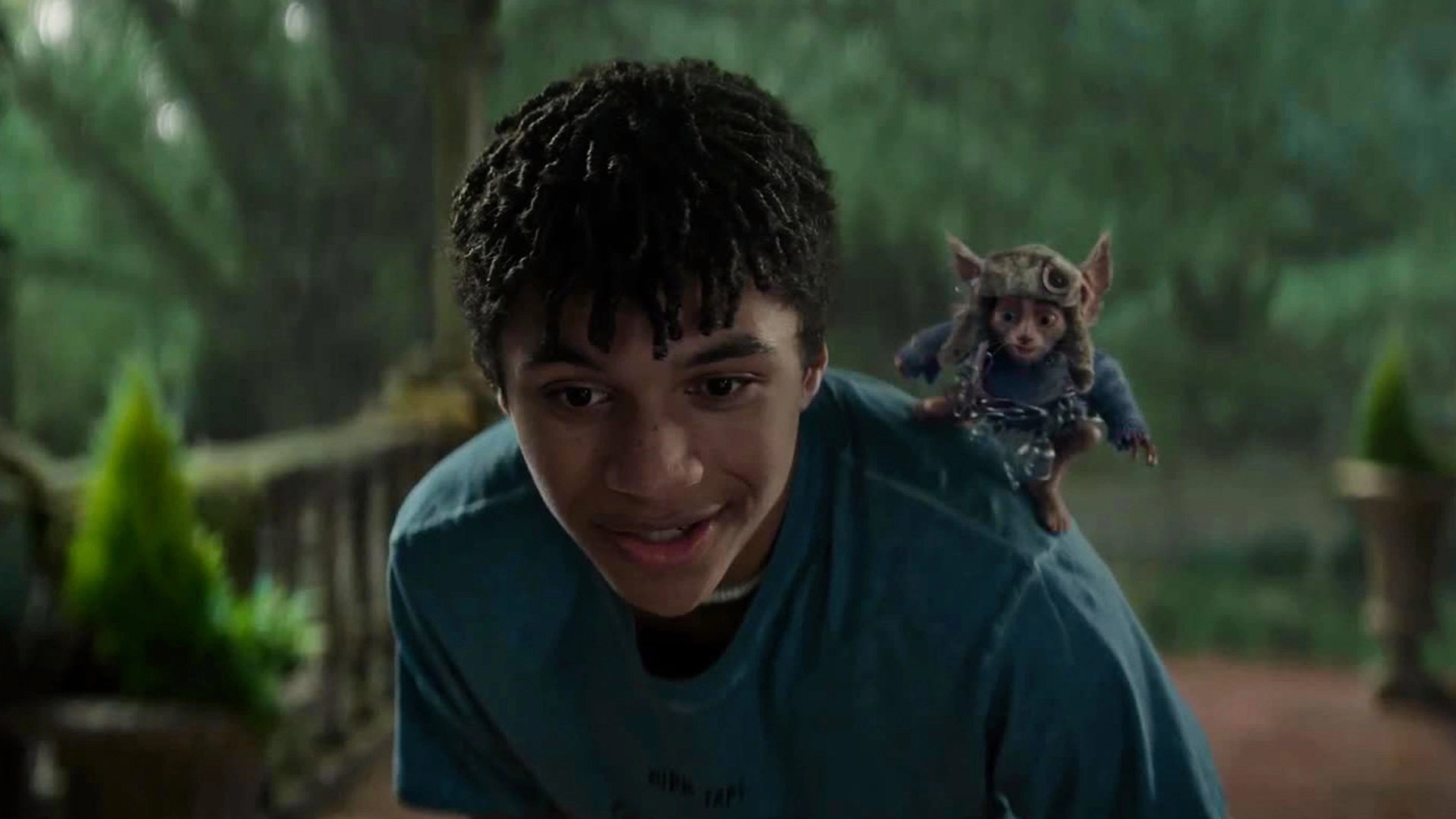 The Spiderwick Chronicles
