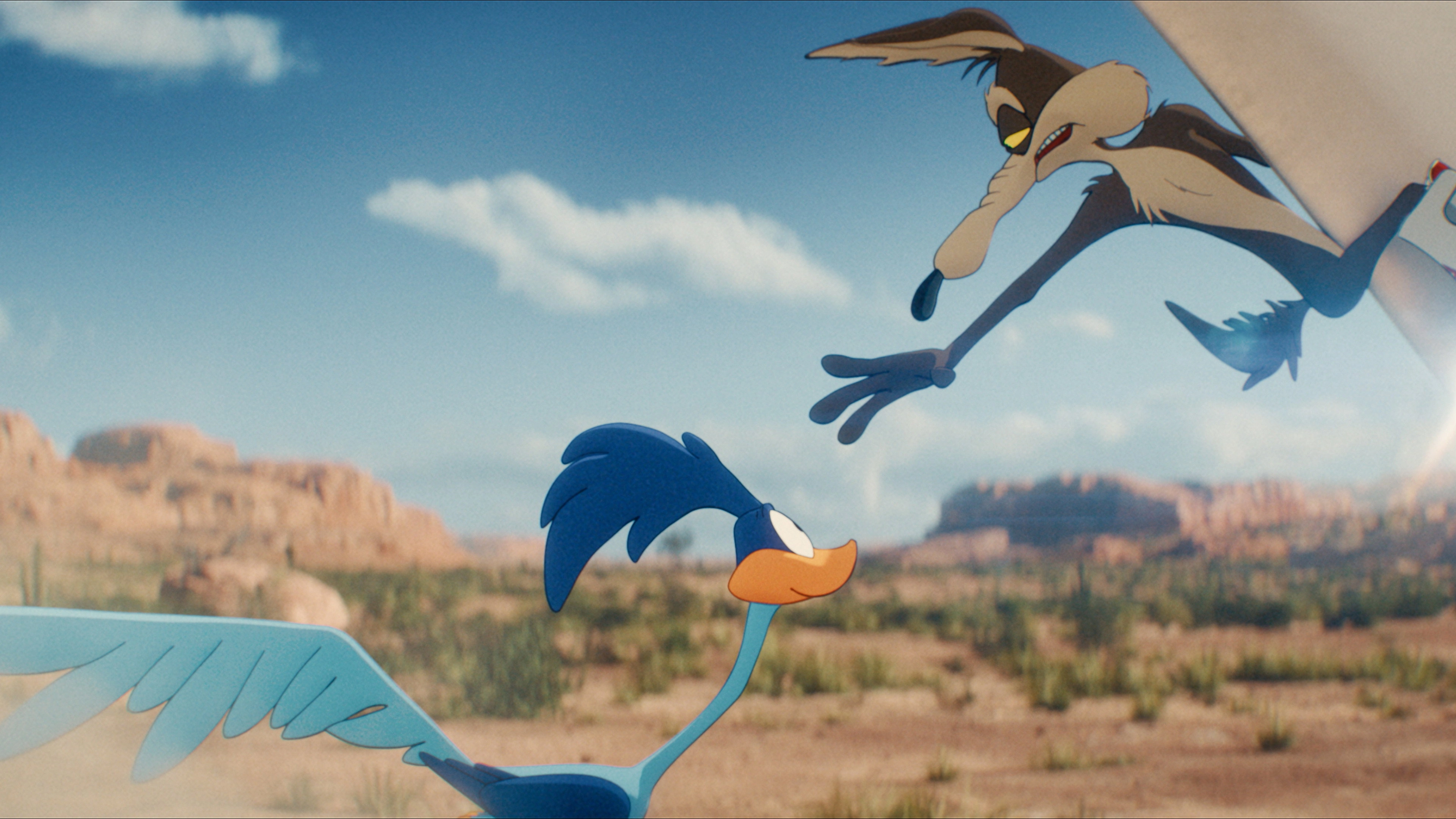 Coyote vs ACME