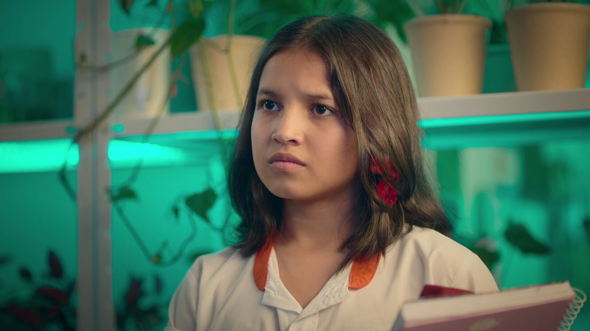 Luz: The Light of the Heart
