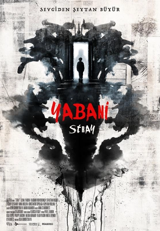Stray