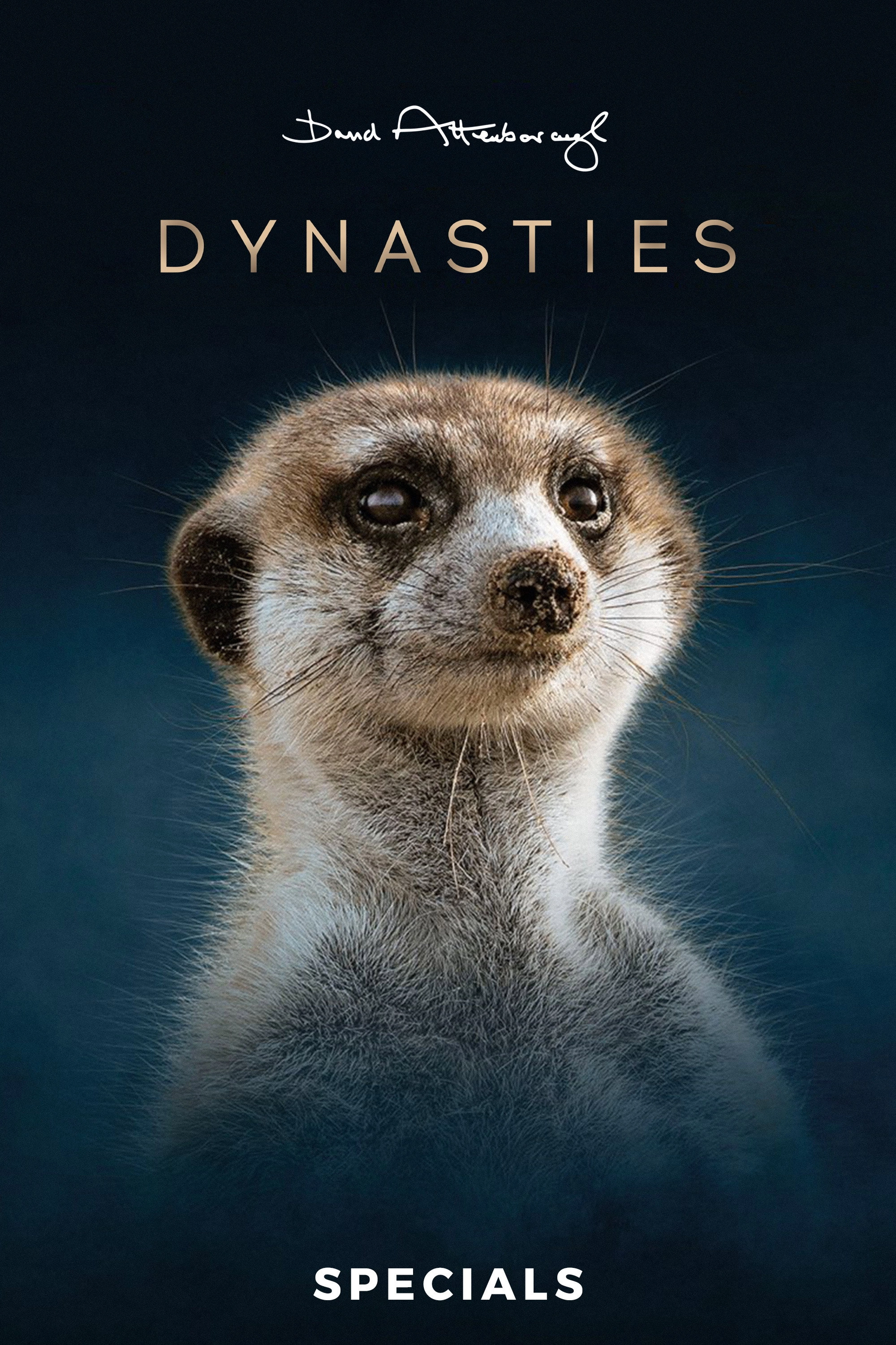 Dynasties