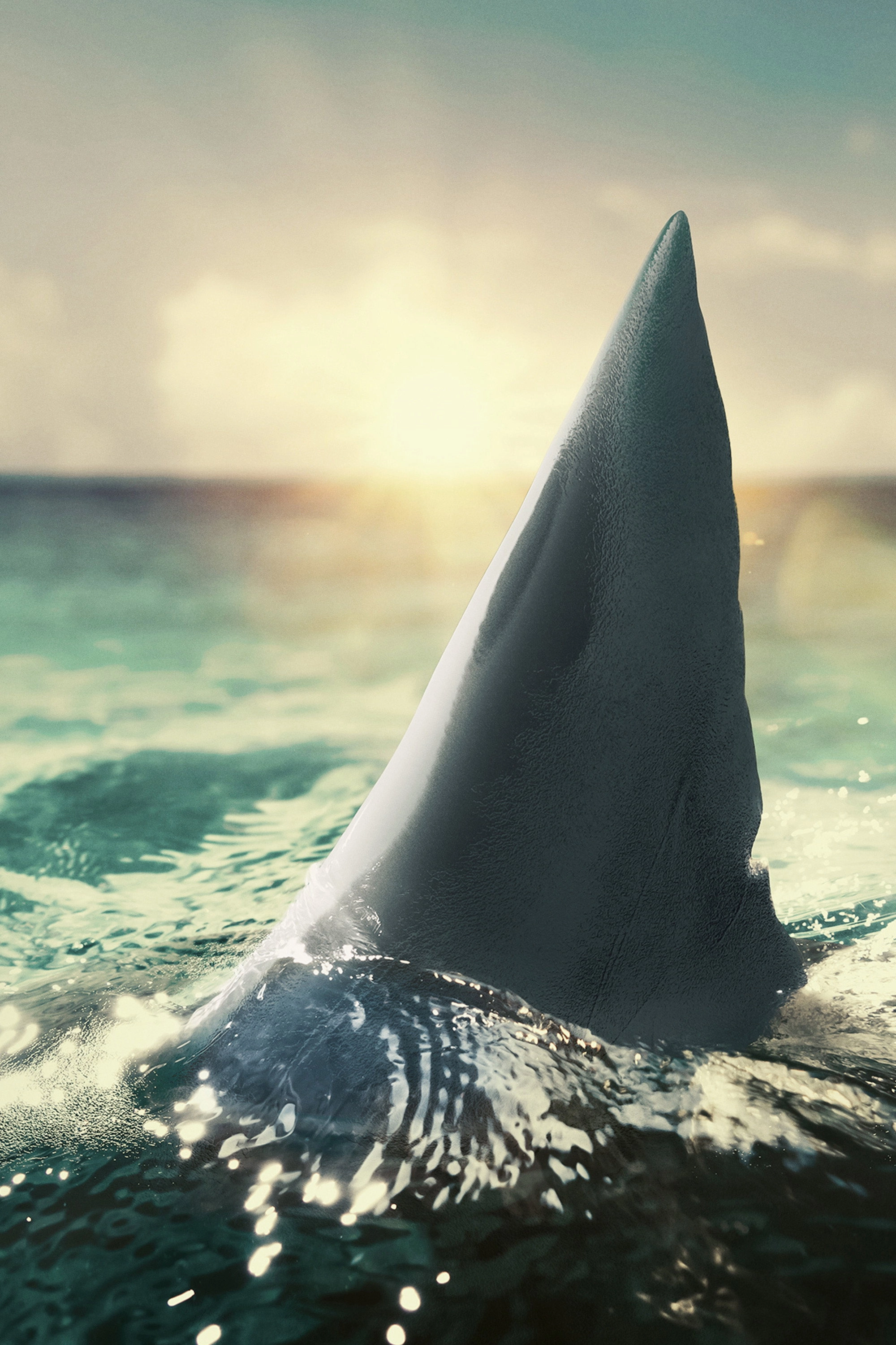 When Sharks Attack 360