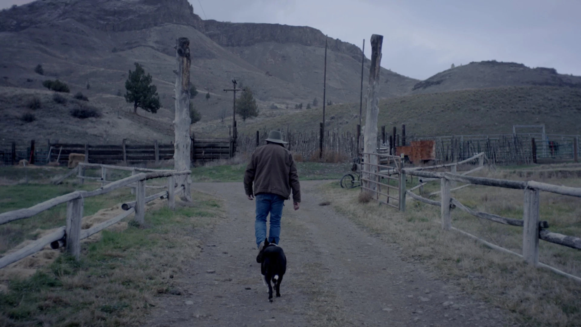 Wild Wild Country
