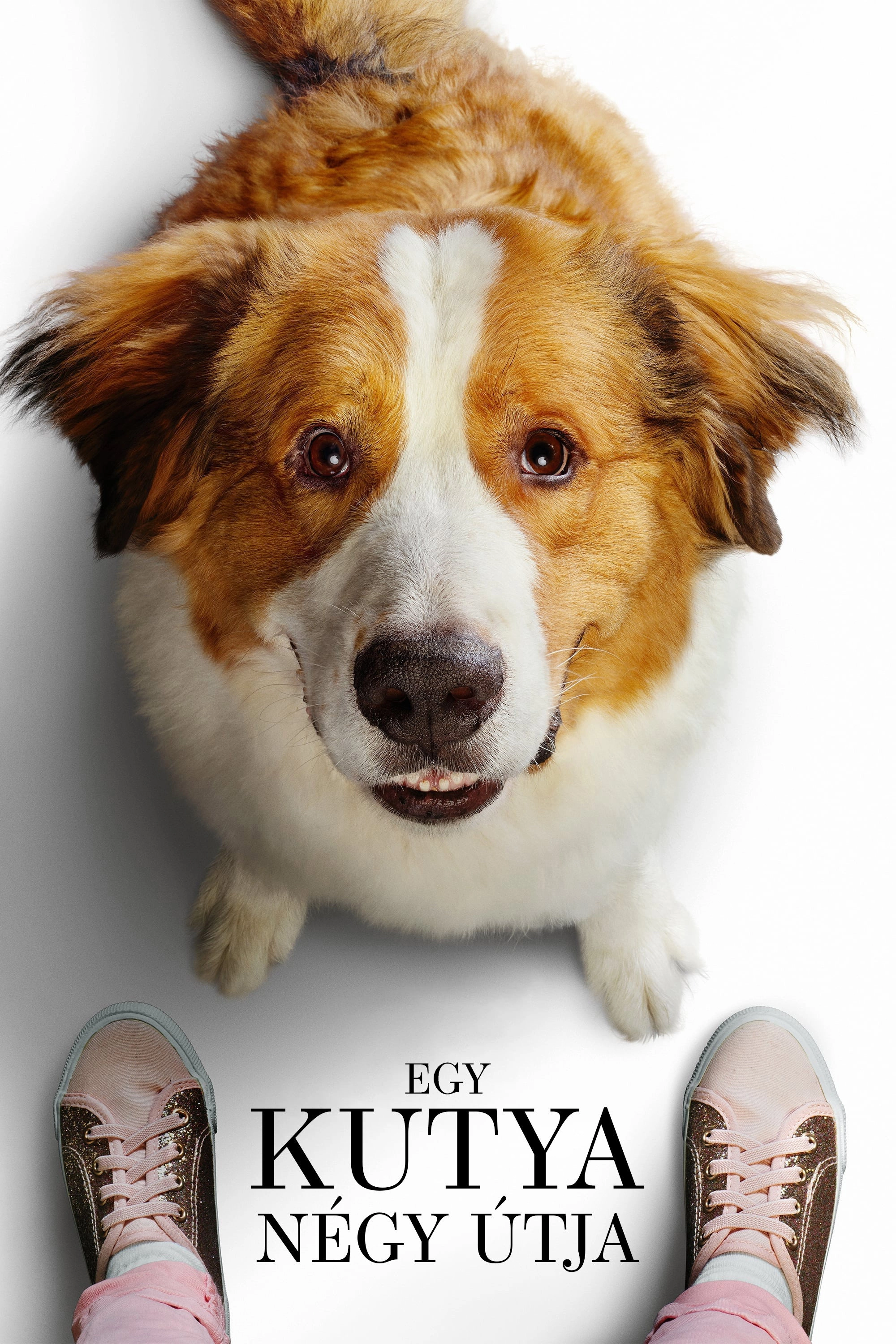 A Dog's Journey