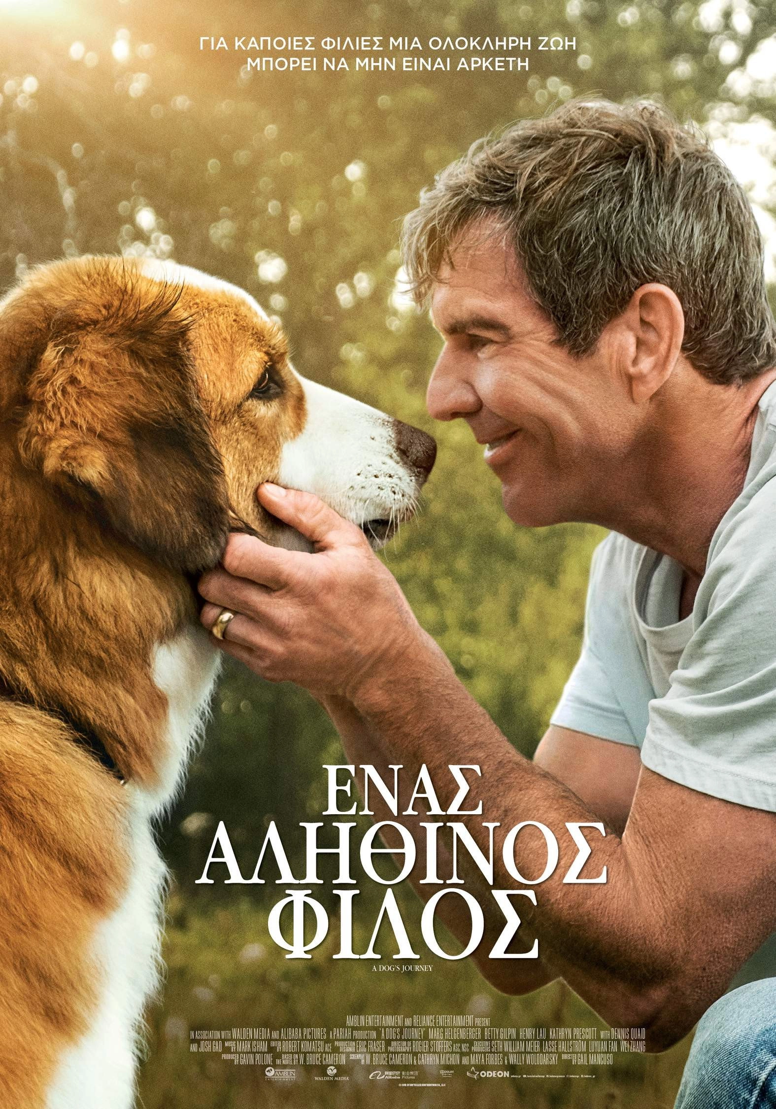A Dog's Journey