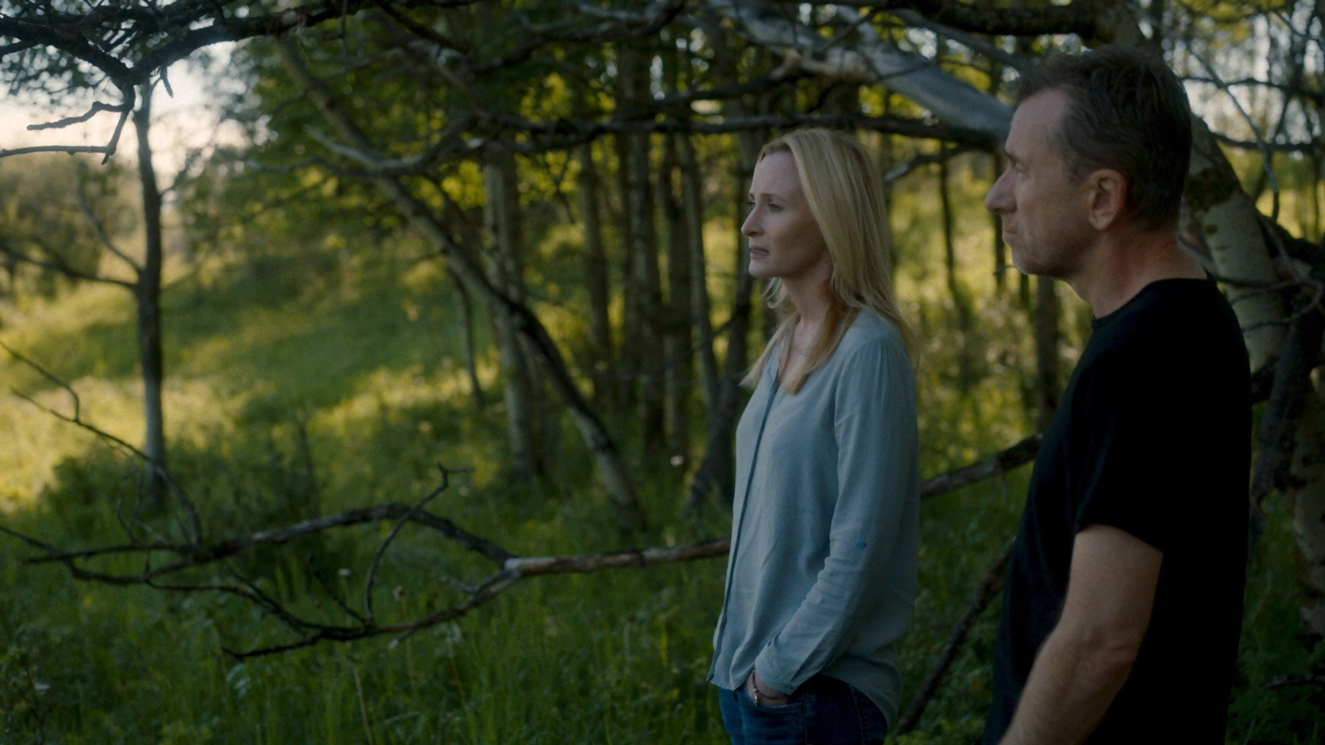 Tin Star