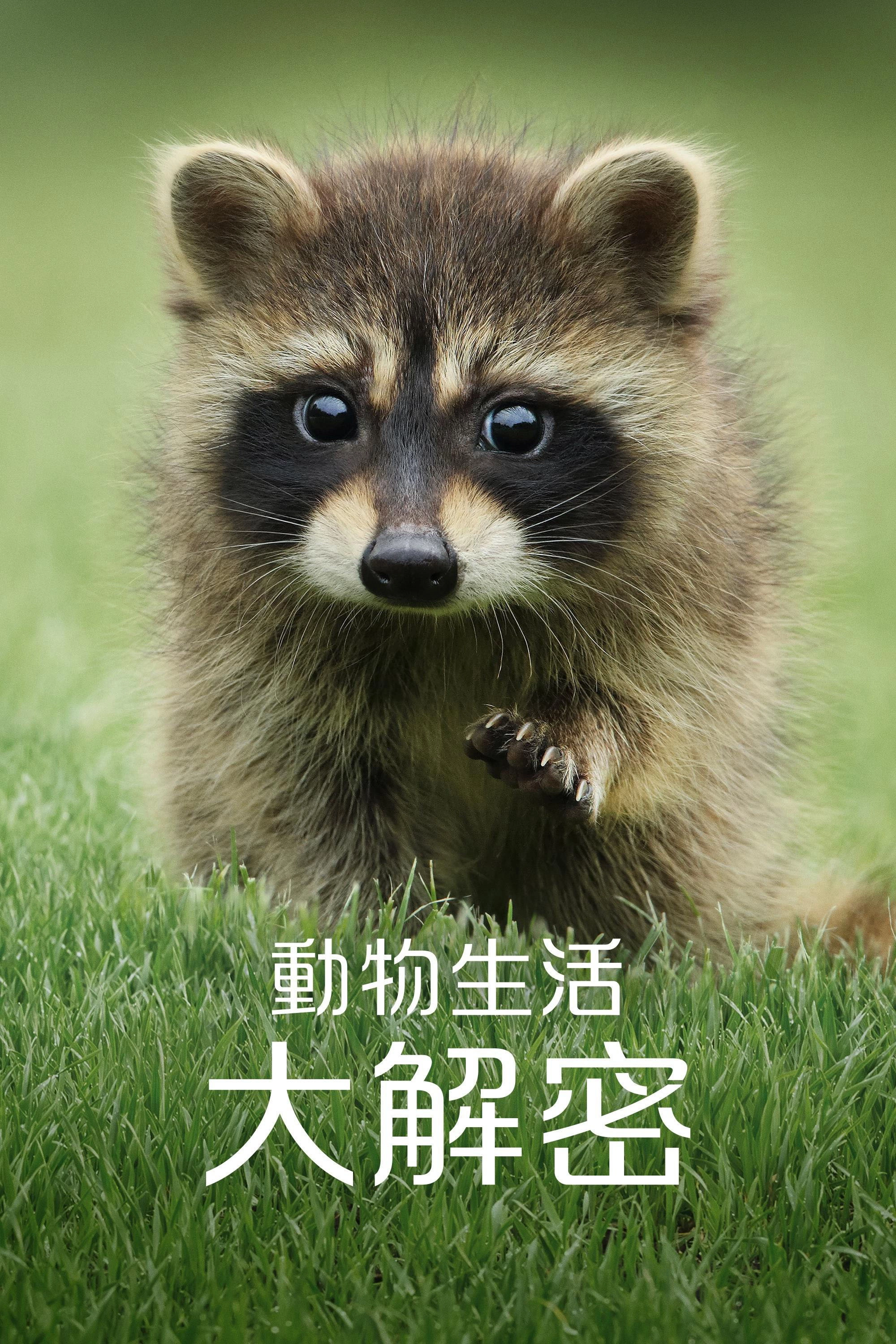 The Secret Lives of Animals
