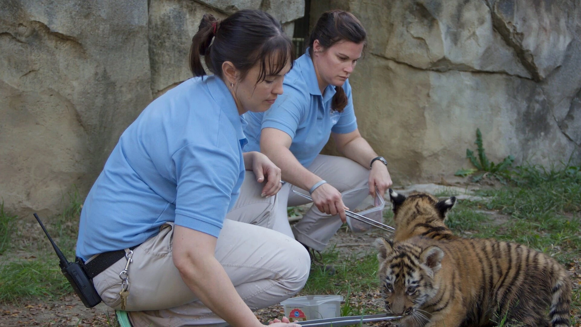 Secrets of the Zoo