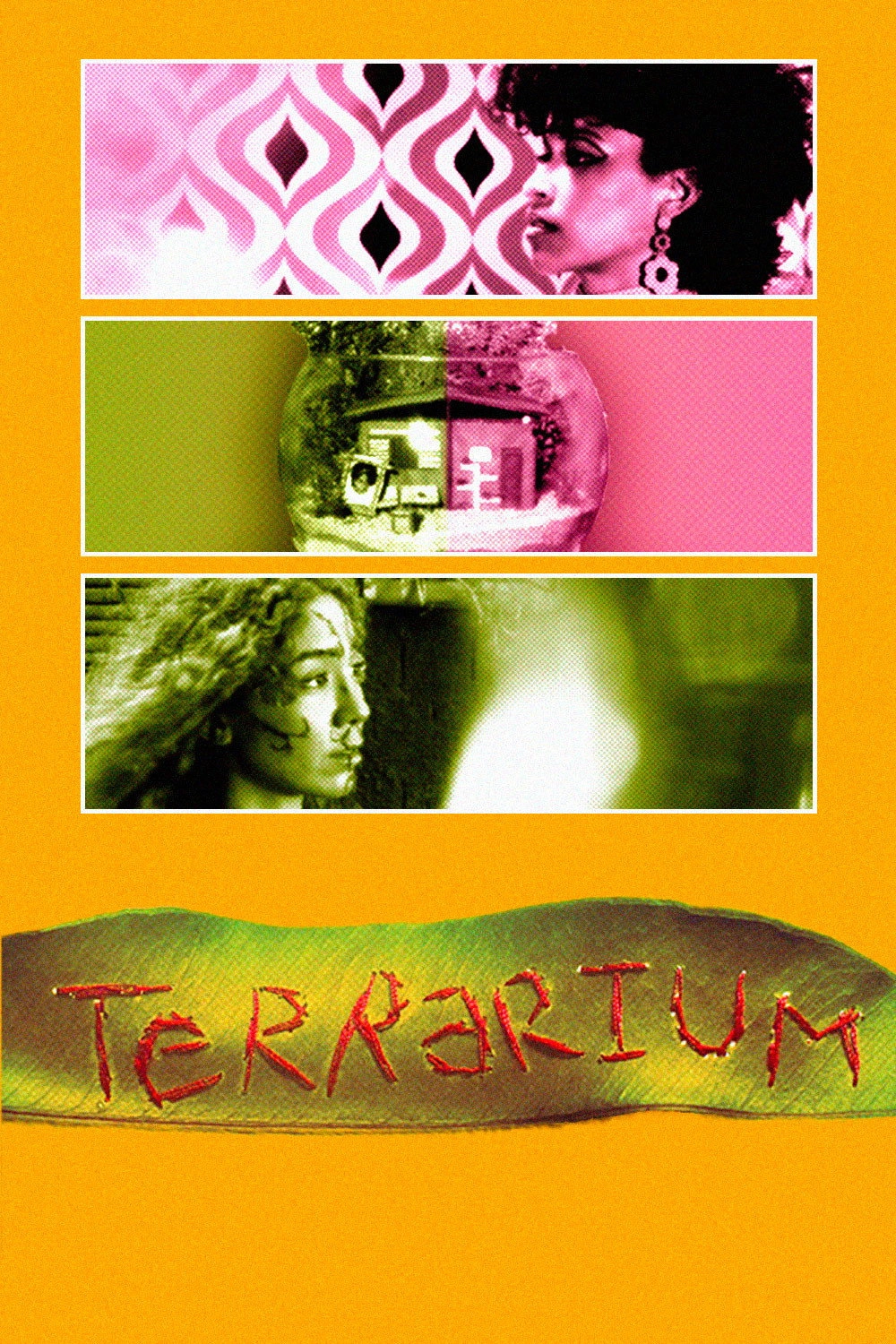 Terrarium