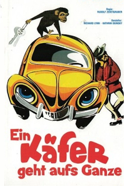 The Love Bug Rally