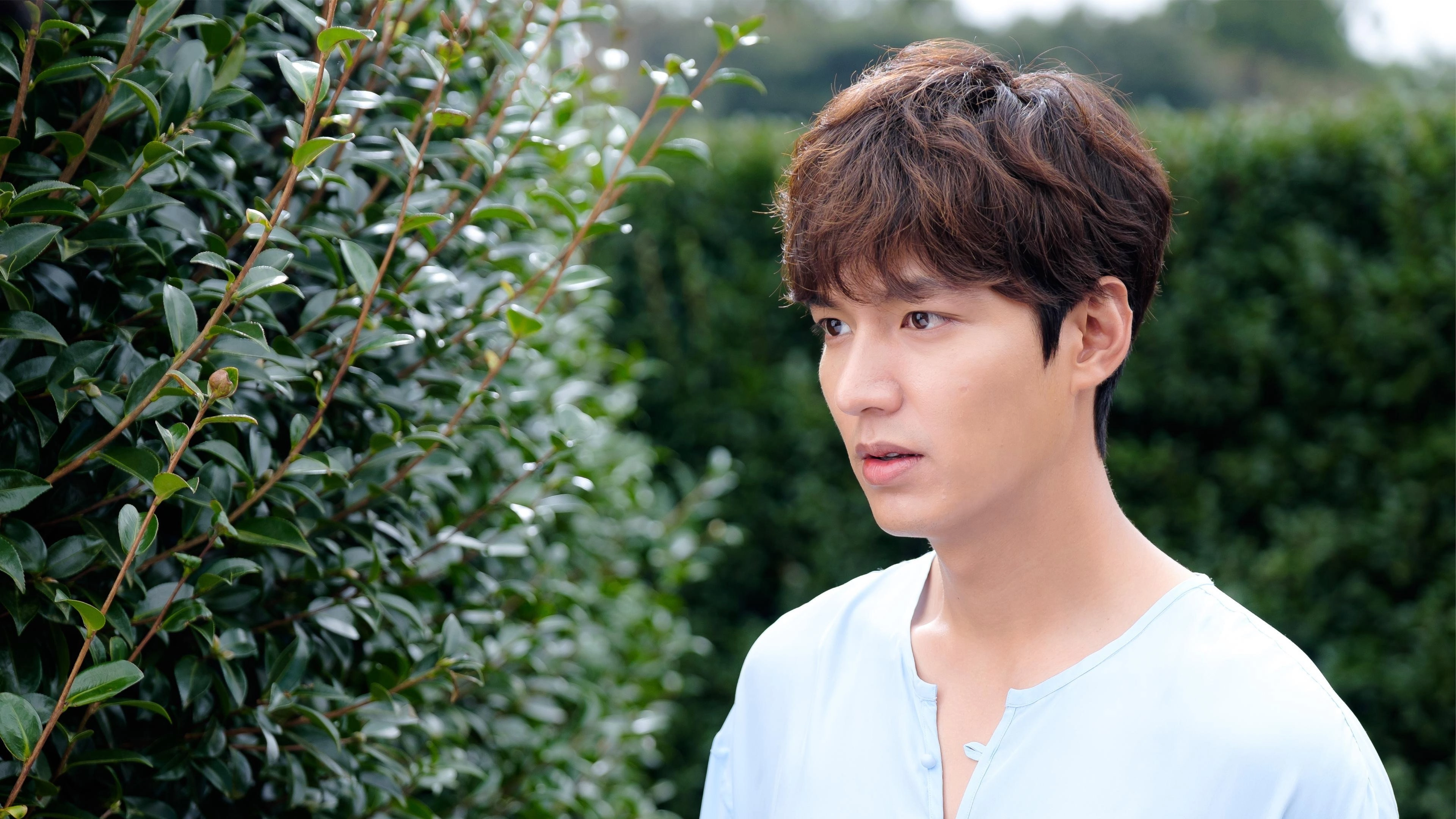 The Legend of the Blue Sea