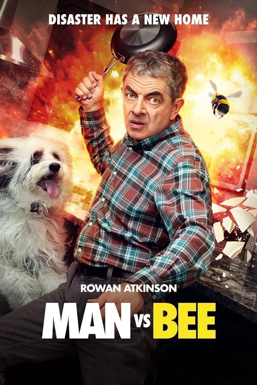 Man vs Bee
