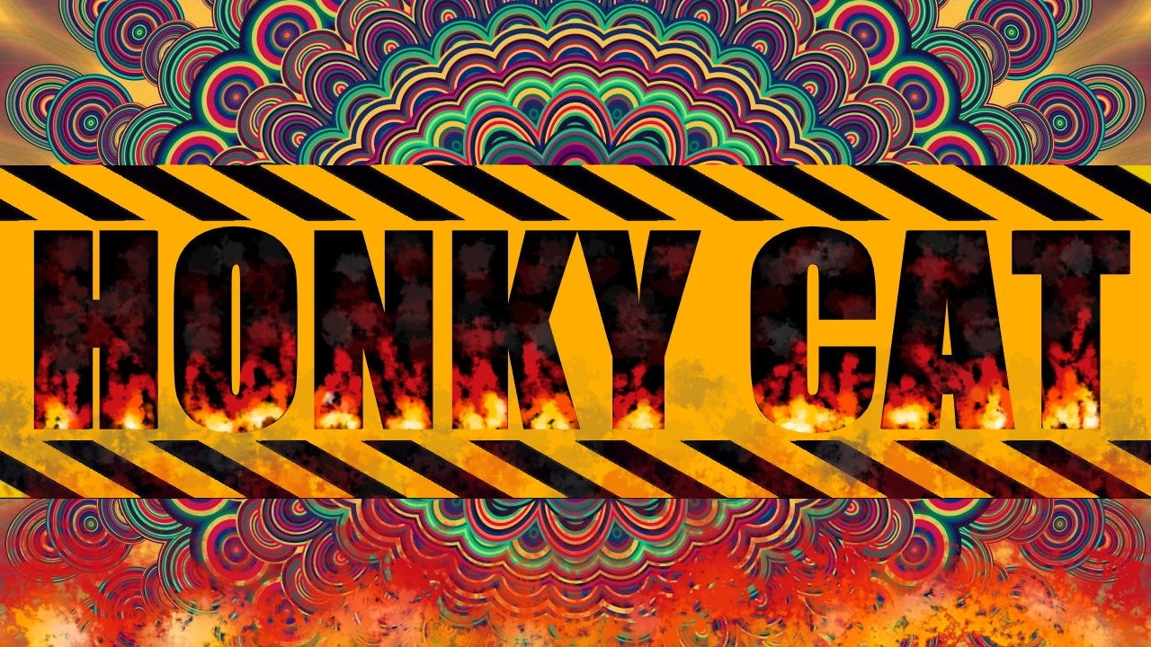 Honky Cat