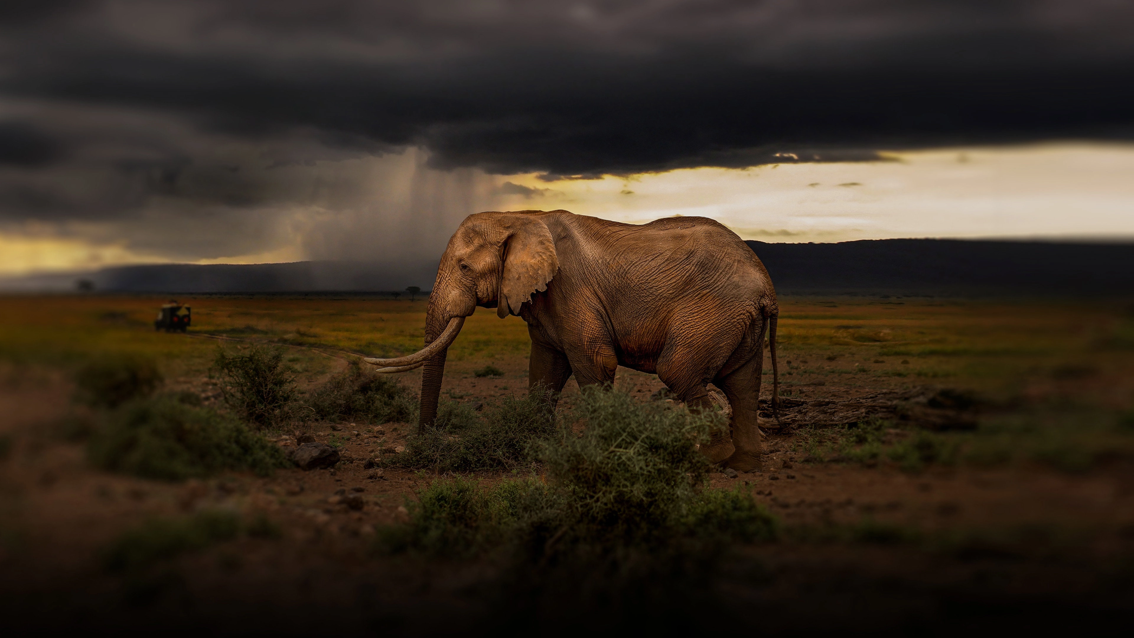 Chasing the Rains