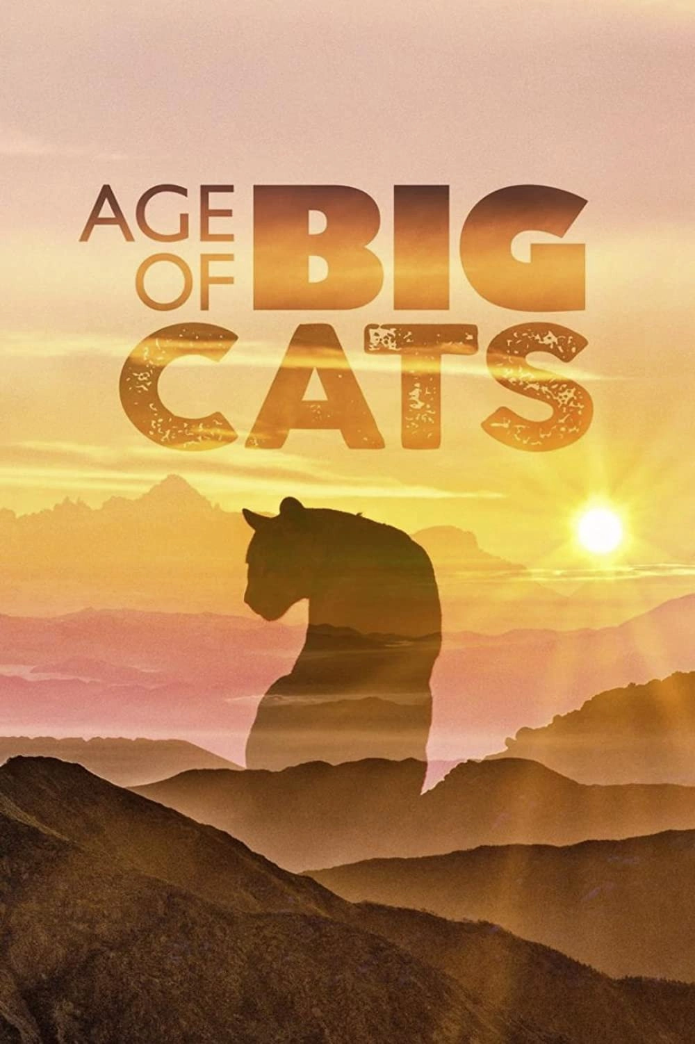Age of Big Cats