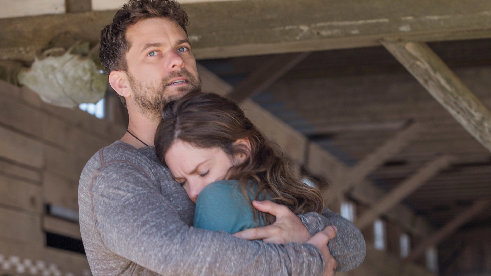 The Affair