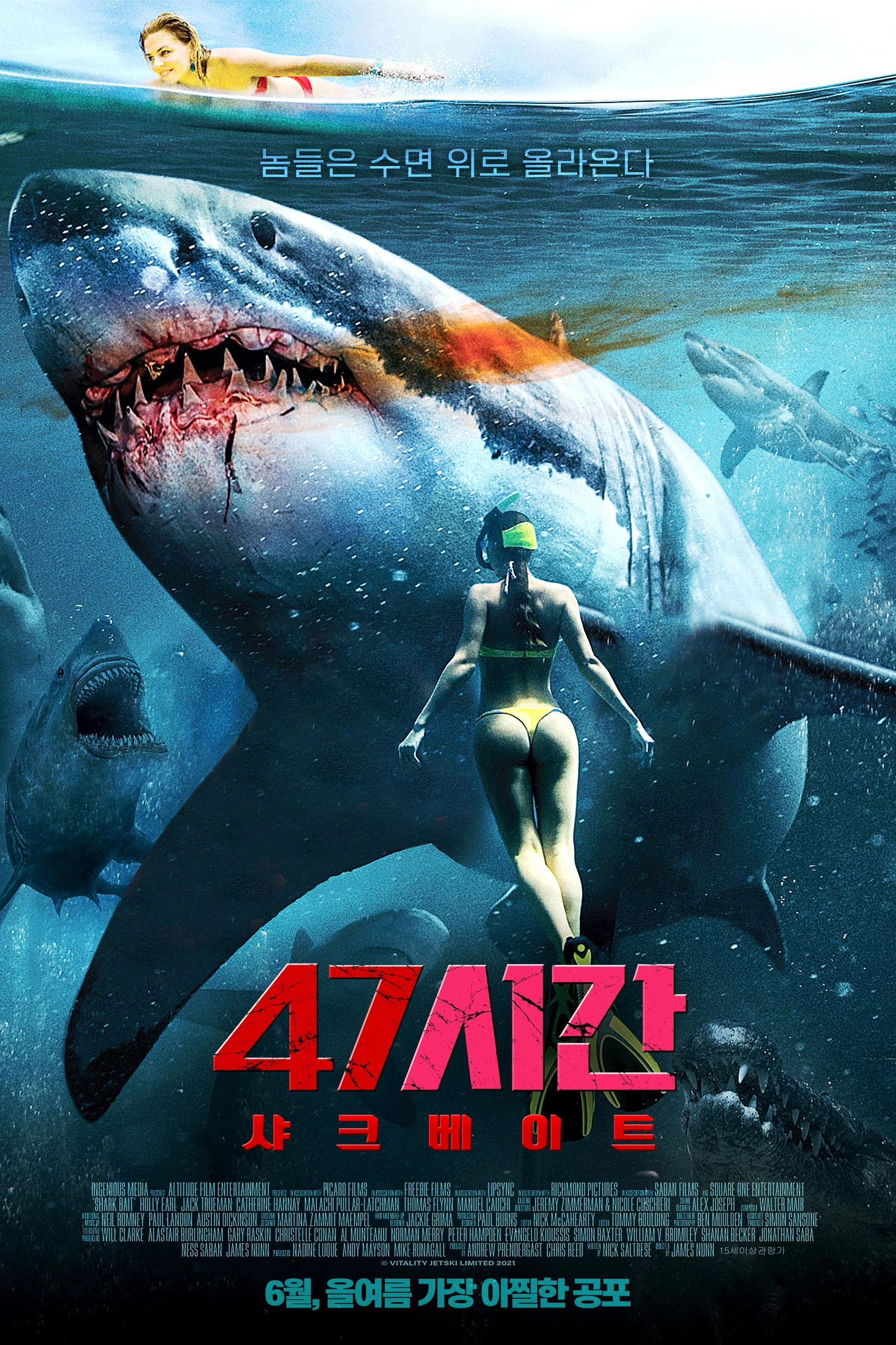 Shark Bait